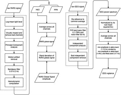 Amplitude of fNIRS Resting-State Global Signal Is Related to EEG Vigilance Measures: A Simultaneous fNIRS and EEG Study